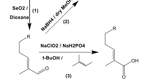 C-6不飽和無(wú)環(huán)單萜醇的結(jié)構(gòu)-氣味關(guān)系研究：一種比較的方法