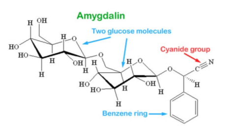 香精與香料(17)-香型與分子結(jié)構(gòu)特征的關(guān)系