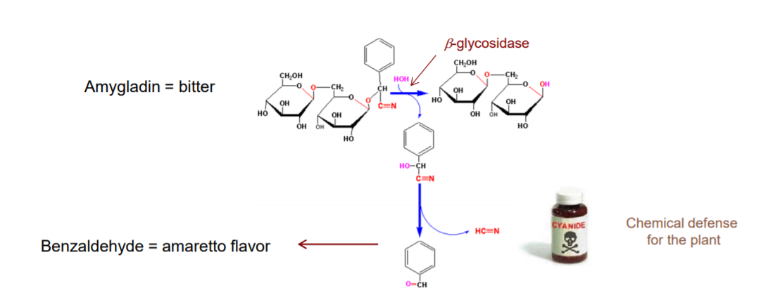 香精與香料(17)-香型與分子結(jié)構(gòu)特征的關(guān)系