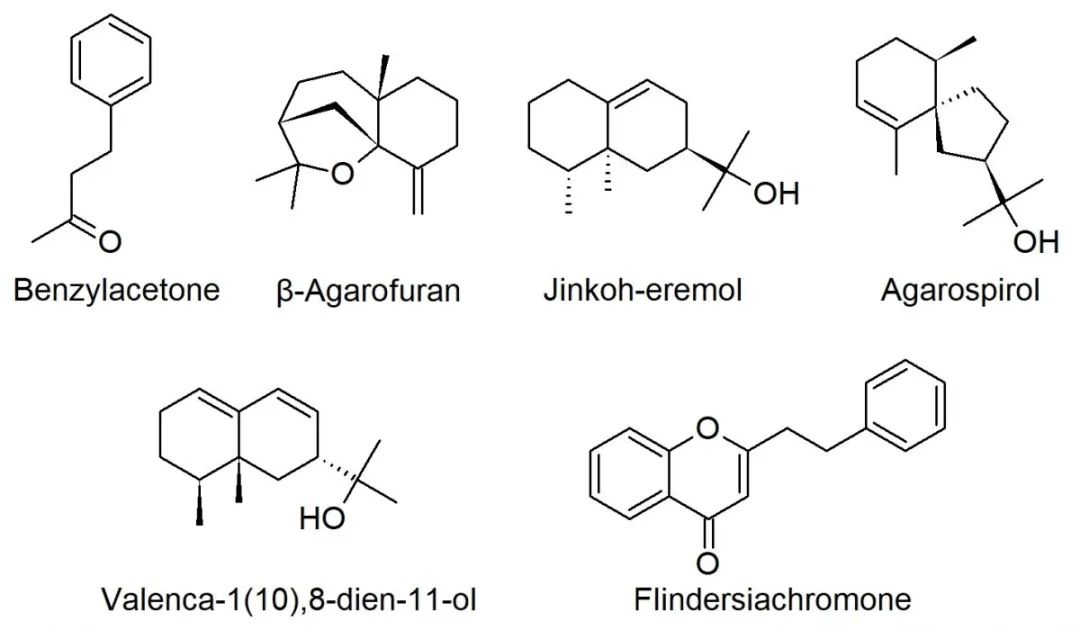 香精與香料(33)—沉香螺醇與沉香油