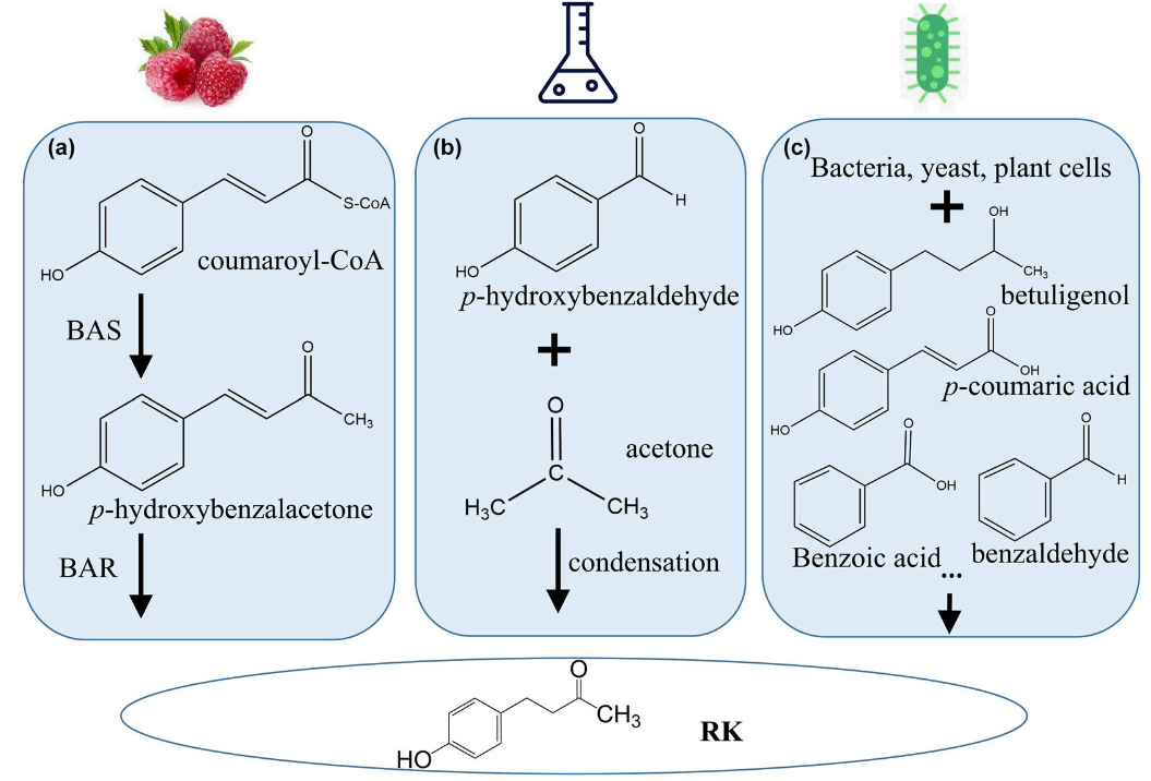 香精與香料(71)—覆盆子酮(Raspberry ketone)