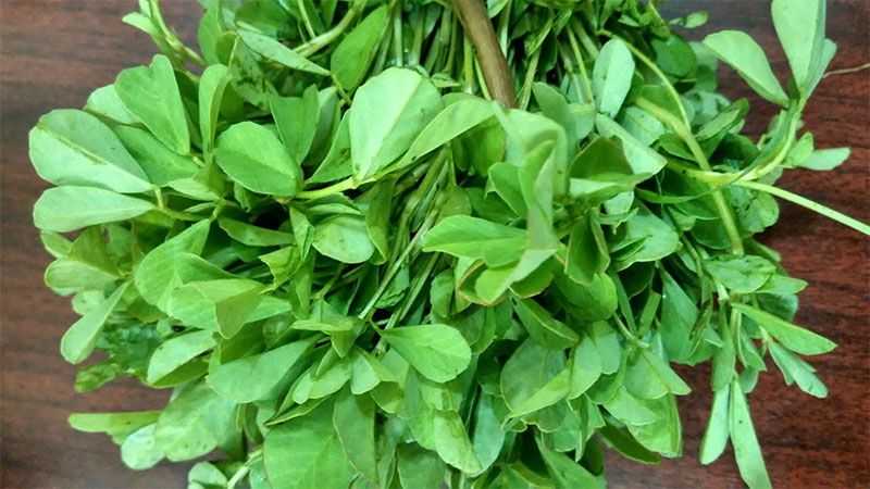 香精與香料(80)—葫蘆巴浸膏(Fenugreek concrete)