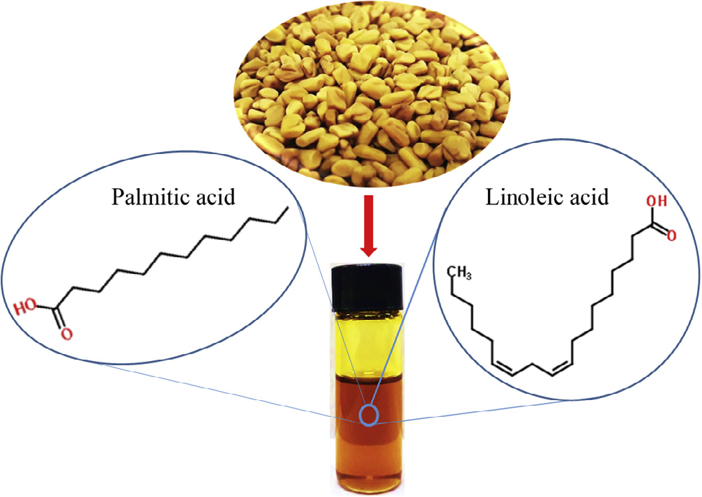 香精與香料(80)—葫蘆巴浸膏(Fenugreek concrete)