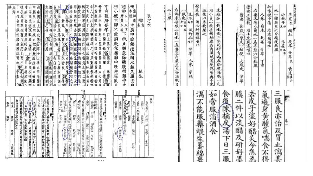 香精與香料(89)—陳皮