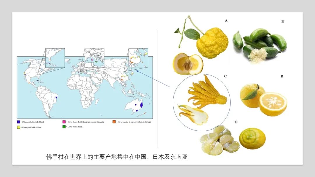 香精與香料(90)—佛手柑