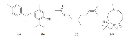 香精與香料(99)—佩蘭(Eupatorium fortunei )