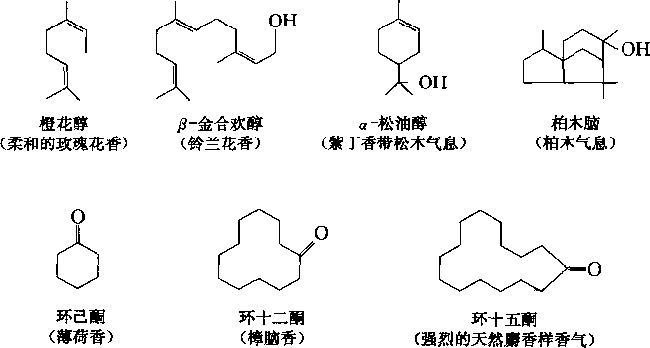 香水的香氣從何而來？