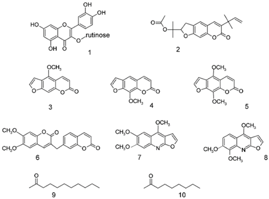 香精與香料(111)—蕓香