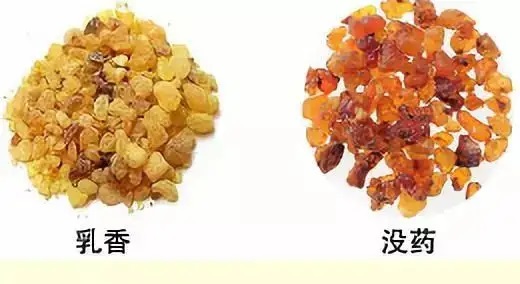 乳香，Boswellia Carterri Birdw 橄欖科