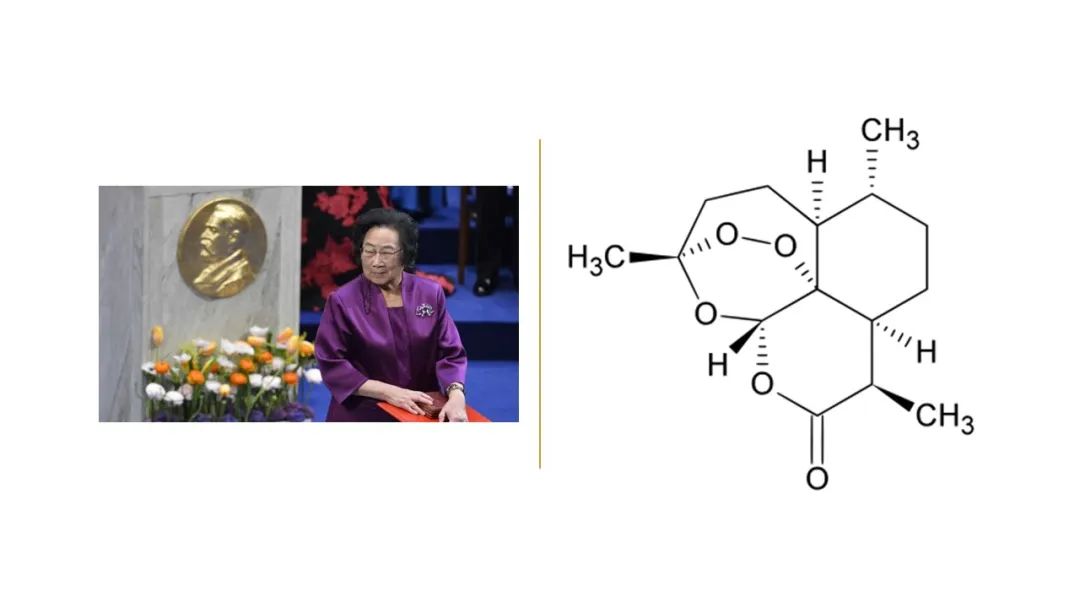 香精與香料(142)—青蒿