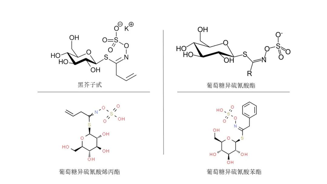 香精與香料(149)—辣根