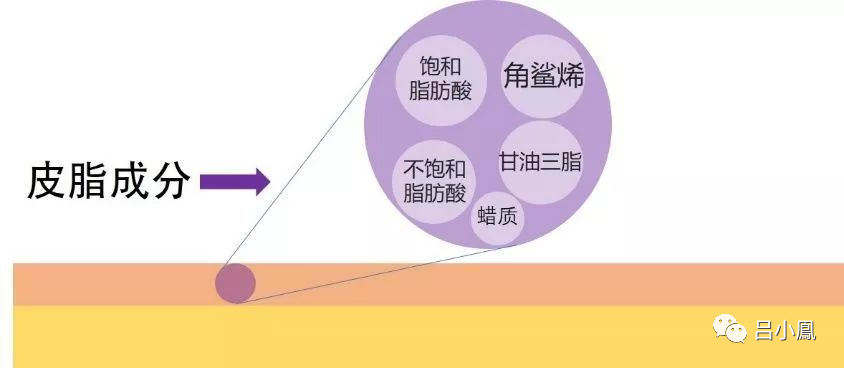 2022年護膚熱門功效成分有哪些？