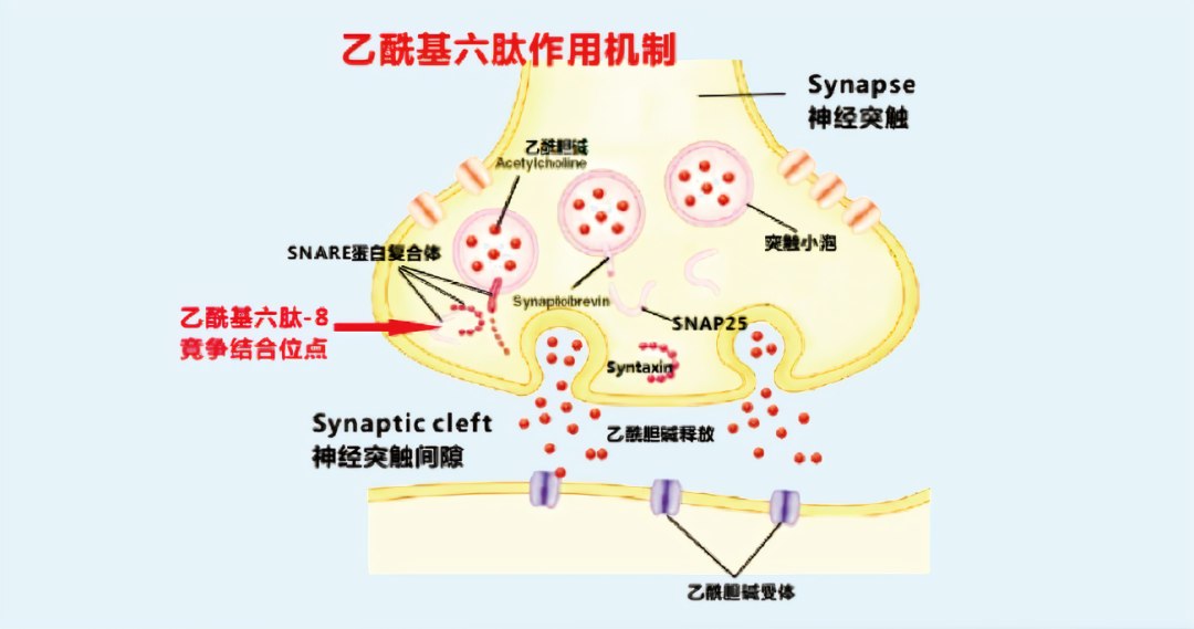 2022年護膚熱門功效成分有哪些？