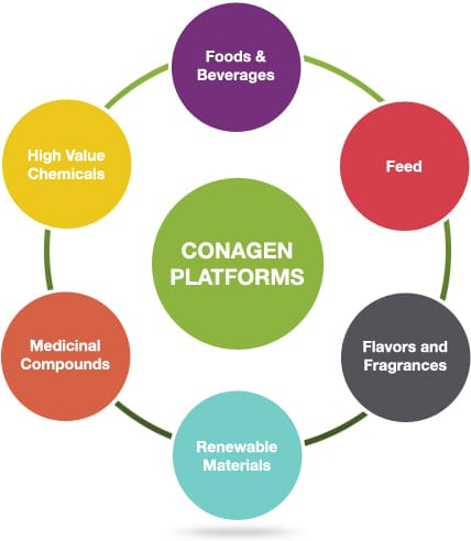 香料香精高新企業(yè)簡介(2)——Conagen