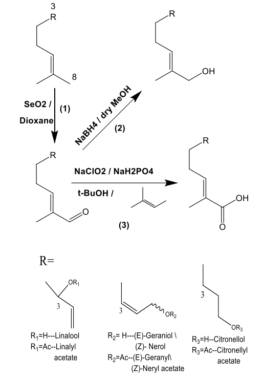 C-6不飽和無環(huán)單萜醇的結(jié)構(gòu)-氣味關(guān)系研究：一種比較的方法