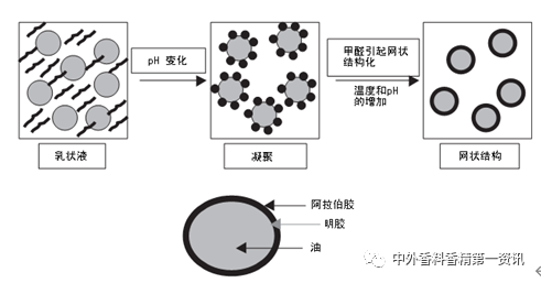 香精包埋與緩釋技術(shù)的研究進展