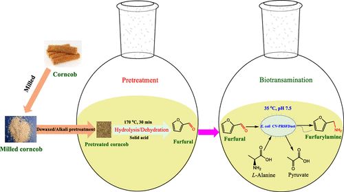 農(nóng)業(yè)廢物作為微生物香精生產(chǎn)基質(zhì)的潛力研究