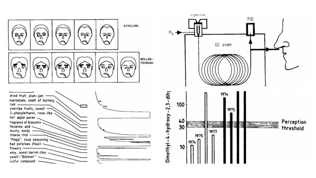 調(diào)香筆記(9)——多感官味覺(jué)感知:感官內(nèi)部和感官之間的調(diào)和、混合、融合和配對(duì)