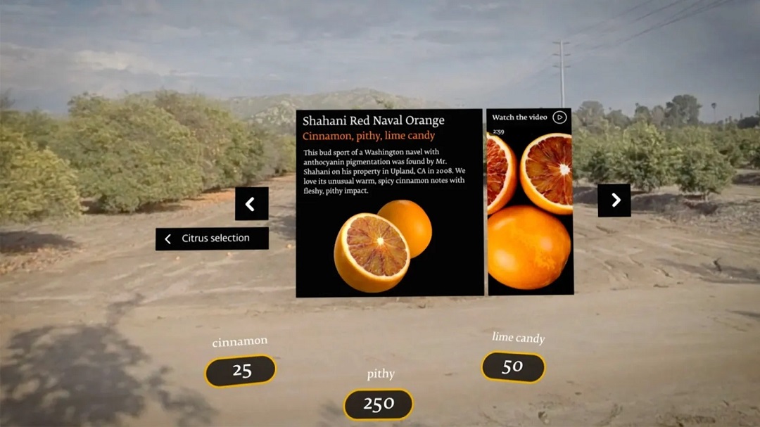虛擬現(xiàn)實商業(yè)-奇華頓虛擬口味旅行?柑橘-把風味創(chuàng)造到下一個水平