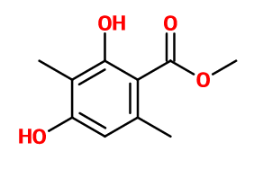 香水中的灌木叢氣息