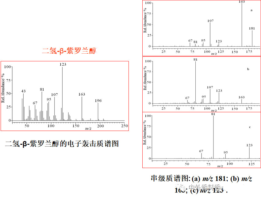 氣相色譜-質譜定性分析