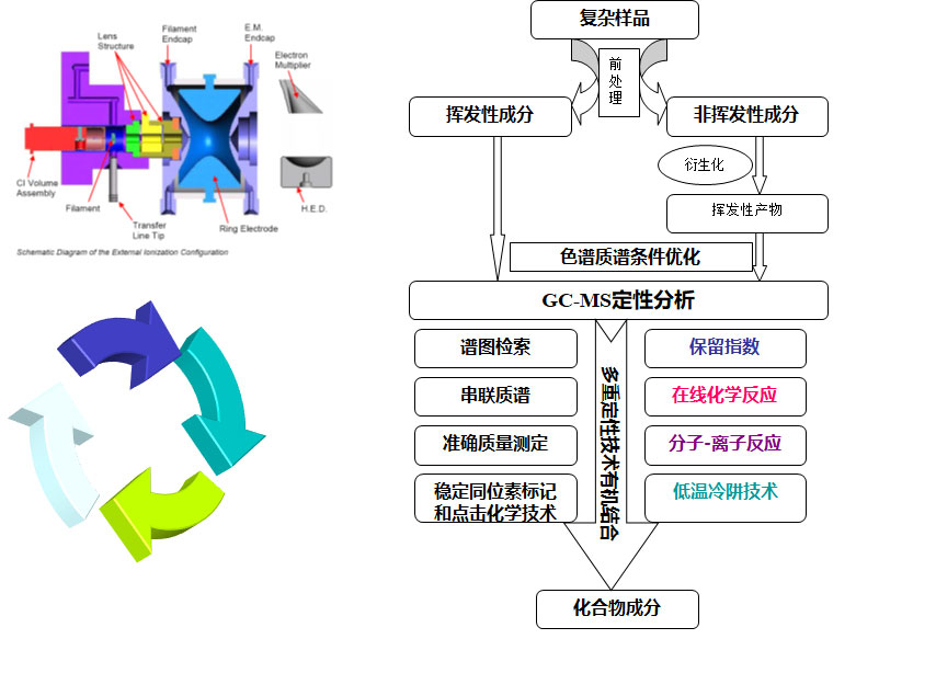 氣相色譜-質譜定性分析